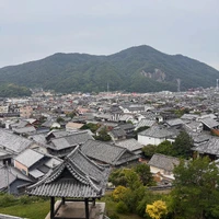 画像644