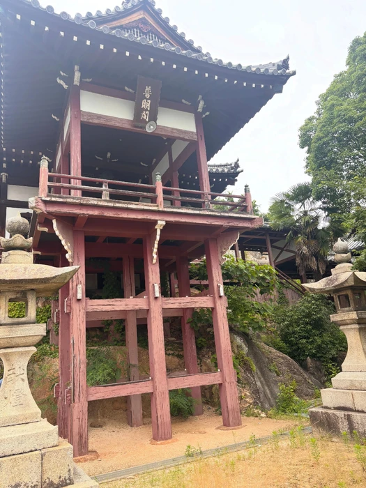 画像646